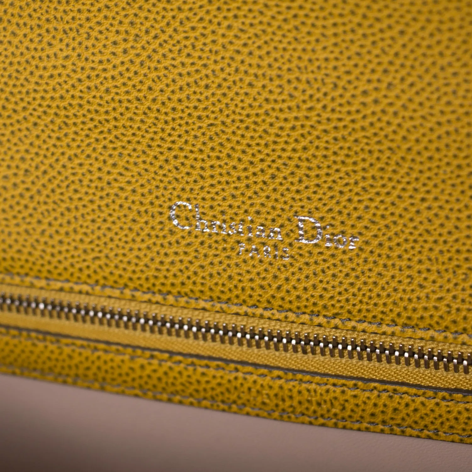 Christian Dior Diorama Medium Shoulder Bag