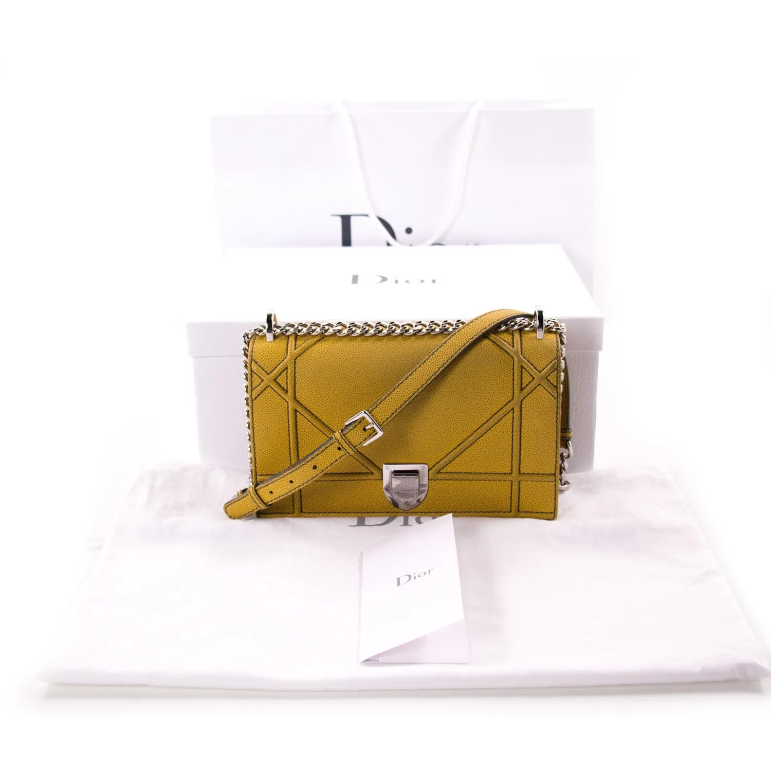 Christian Dior Diorama Medium Shoulder Bag