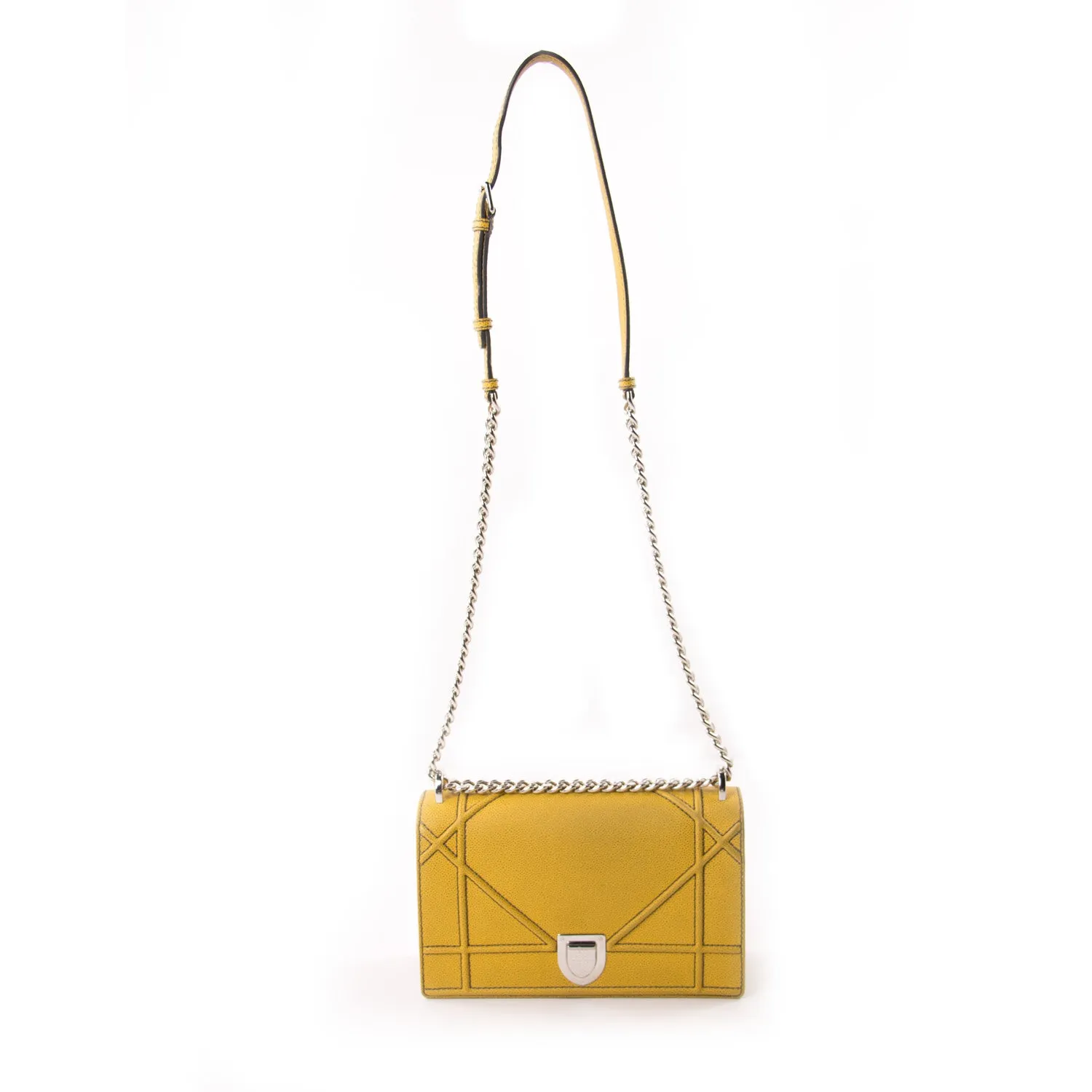 Christian Dior Diorama Medium Shoulder Bag