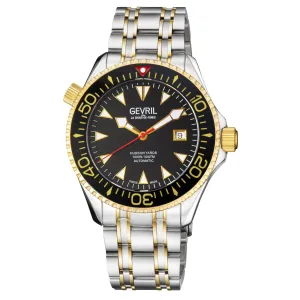 Gevril Hudson Yards - Diver