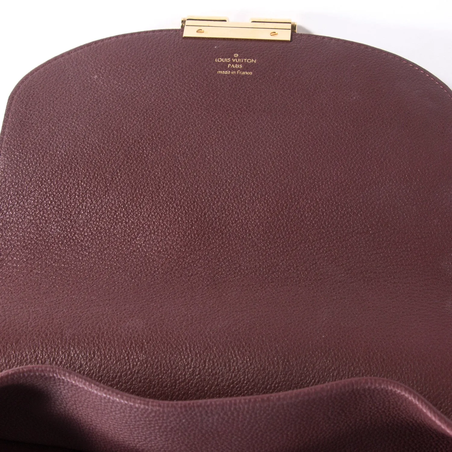 Louis Vuitton Monogram Olympe Bag
