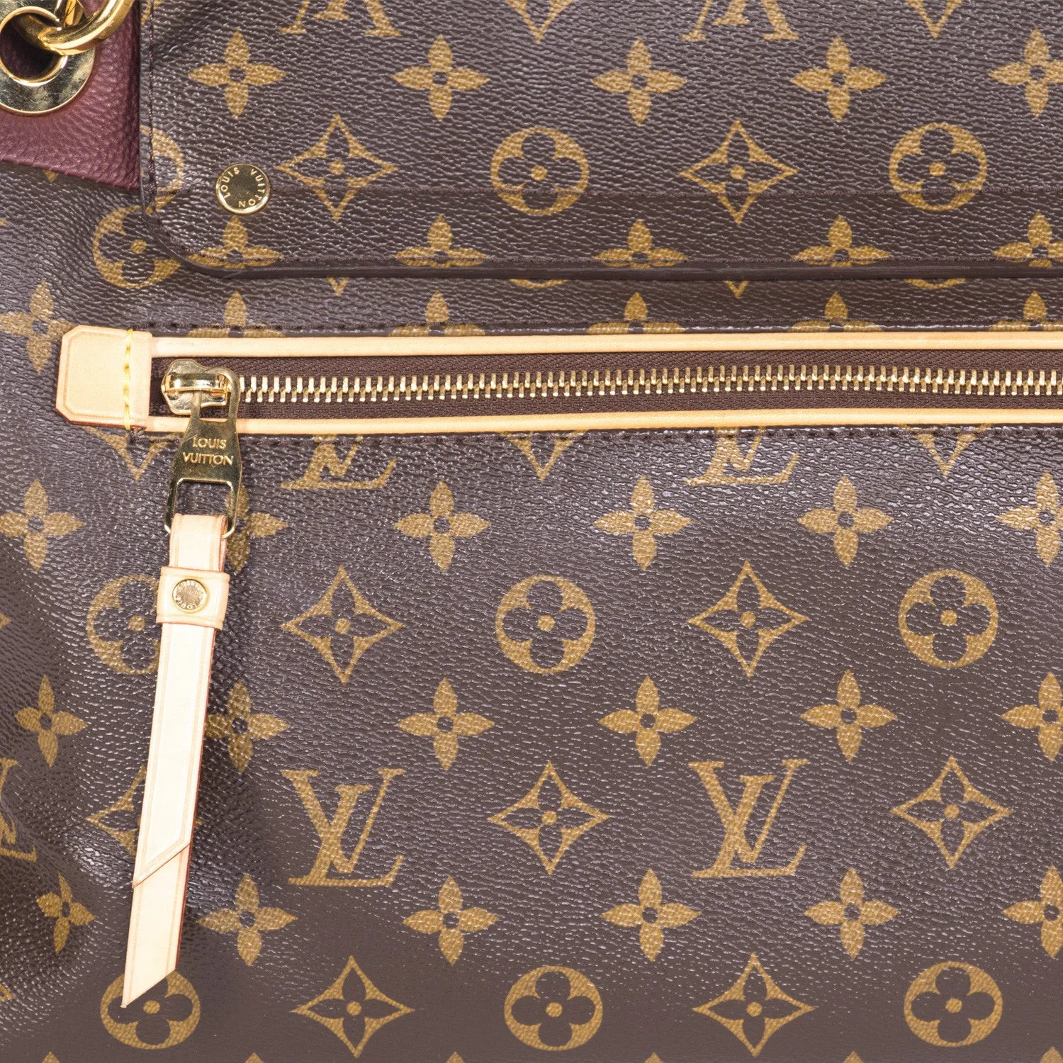 Louis Vuitton Monogram Olympe Bag