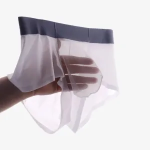 Men's 3D Pouch  Ice Silk Mesh Combined  Low-Rise Underpants (5-Pack) -JEWYEE AY 1977