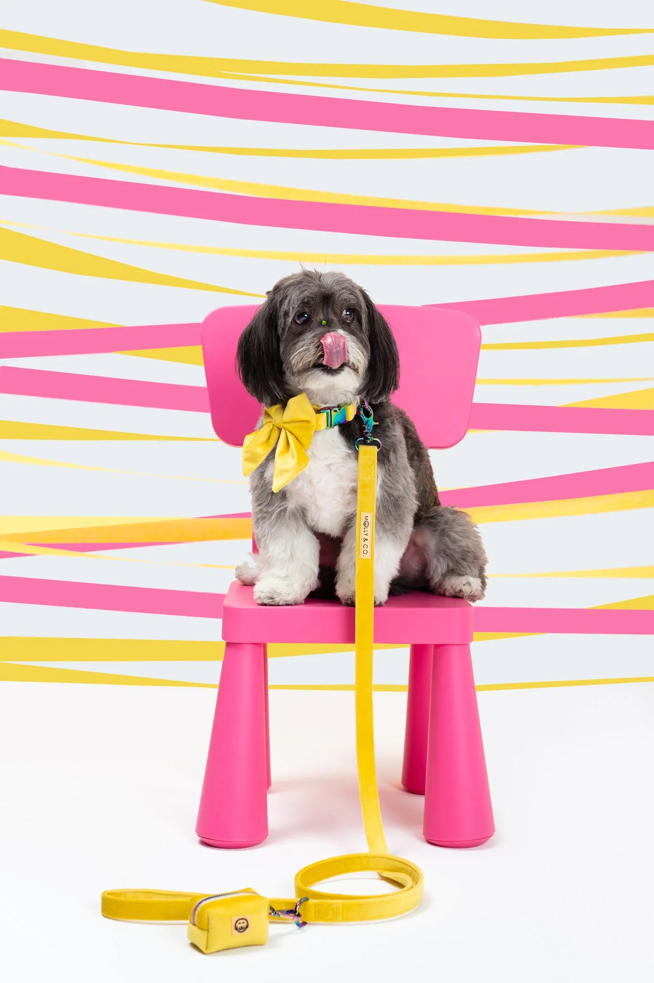 Sunshine Velvet - Dog Poop Bag Holder